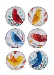 Colorful Bird Magnet