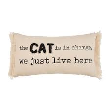 Charge canvas cat pillow