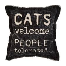 Cat welcome canvas pillow