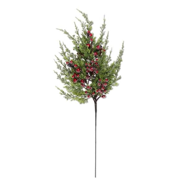 Cypress Pine with Dark Red Iced Berry Stem